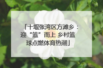 十堰张湾区方滩乡：迎“篮”而上 乡村篮球点燃体育热潮