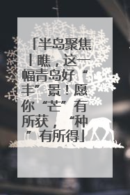 半岛聚焦丨瞧，这一幅青岛好“丰”景！愿你“芒”有所获，“种”有所得