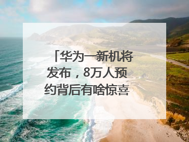 华为一新机将发布，8万人预约背后有啥惊喜？｜热财经