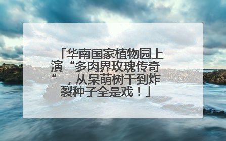 华南国家植物园上演“多肉界玫瑰传奇”，从呆萌树干到炸裂种子全是戏！