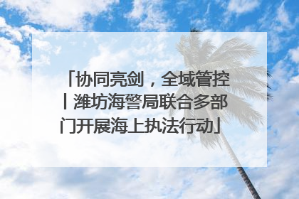 协同亮剑，全域管控丨潍坊海警局联合多部门开展海上执法行动