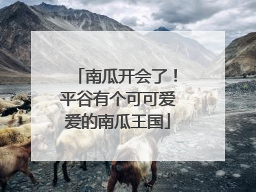 南瓜开会了！平谷有个可可爱爱的南瓜王国