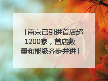 南京已引进首店超1200家，首店数量和能级齐步并进