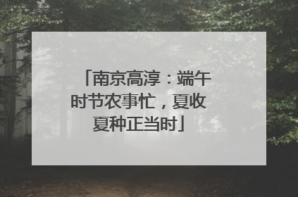 南京高淳：端午时节农事忙，夏收夏种正当时