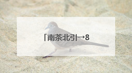 南茶北引→8亩荒地变茶园