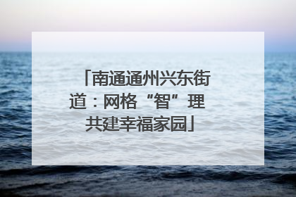 南通通州兴东街道：网格“智”理 共建幸福家园