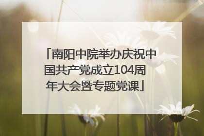南阳中院举办庆祝中国共产党成立104周年大会暨专题党课
