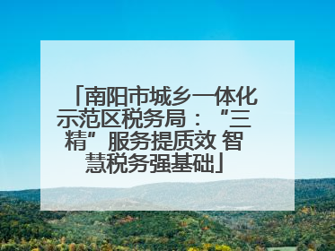南阳市城乡一体化示范区税务局：“三精”服务提质效 智慧税务强基础