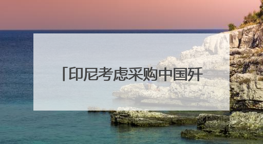 印尼考虑采购中国歼-10战斗机 正评估性能与成本优势
