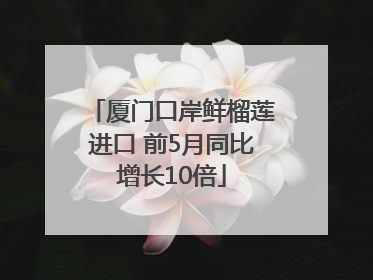 厦门口岸鲜榴莲进口 前5月同比增长10倍