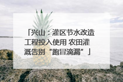兴山：灌区节水改造工程投入使用 农田灌溉告别“跑冒滴漏”