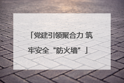 党建引领聚合力 筑牢安全“防火墙”