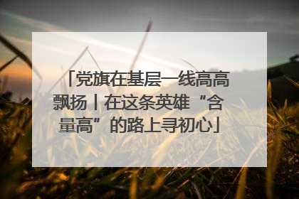 党旗在基层一线高高飘扬丨在这条英雄“含量高”的路上寻初心