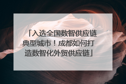 入选全国数智供应链典型城市！成都如何打造数智化外贸供应链