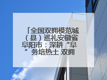 全国双拥模范城（县）巡礼安徽省阜阳市：深耕“阜”务培热土 双拥之花向“阳”开