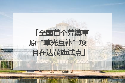 全国首个荒漠草原“草光互补”项目在达茂旗试点