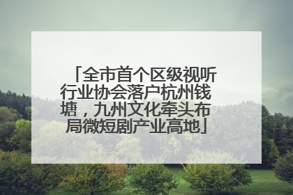 全市首个区级视听行业协会落户杭州钱塘，九州文化牵头布局微短剧产业高地