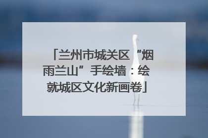 兰州市城关区“烟雨兰山”手绘墙：绘就城区文化新画卷