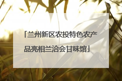 兰州新区农投特色农产品亮相兰洽会甘味馆