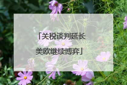 关税谈判延长 美欧继续博弈