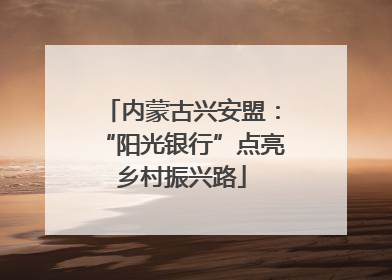 内蒙古兴安盟：“阳光银行”点亮乡村振兴路
