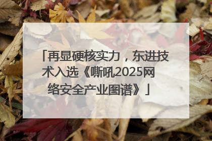 再显硬核实力，东进技术入选《嘶吼2025网络安全产业图谱》