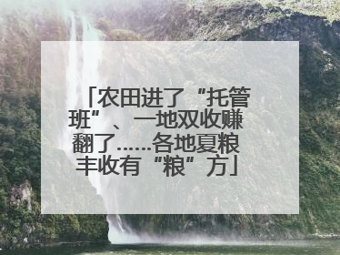 农田进了“托管班”、一地双收赚翻了……各地夏粮丰收有“粮”方