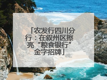 农发行四川分行：在叙州区擦亮“粮食银行”金字招牌