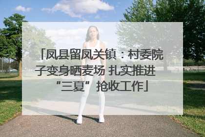 凤县留凤关镇：村委院子变身晒麦场 扎实推进“三夏”抢收工作