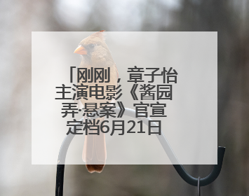 刚刚，章子怡主演电影《酱园弄·悬案》官宣定档6月21日！赵丽颖、杨幂、易烊千玺等角色海报曝光
