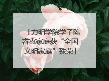 力明学院学子陈睿鑫家庭获“全国文明家庭”殊荣