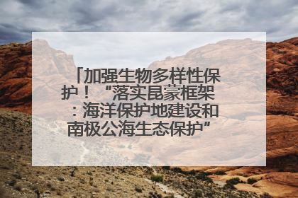 加强生物多样性保护！“落实昆蒙框架：海洋保护地建设和南极公海生态保护”主题论坛将举办