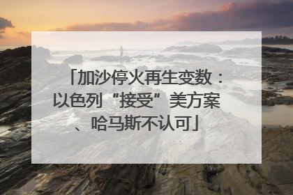 加沙停火再生变数：以色列“接受”美方案、哈马斯不认可