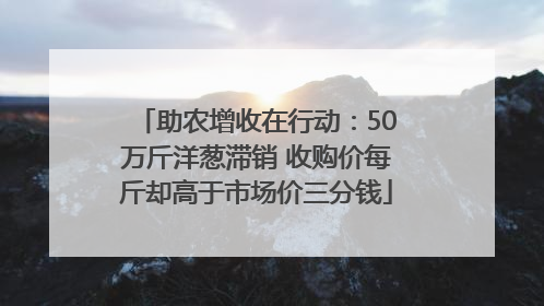 助农增收在行动：50万斤洋葱滞销 收购价每斤却高于市场价三分钱