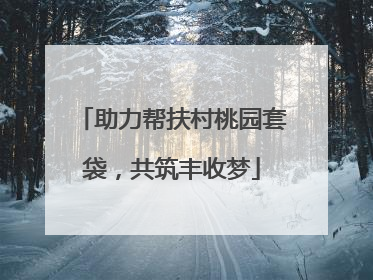 助力帮扶村桃园套袋，共筑丰收梦