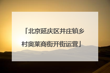 北京延庆区井庄镇乡村奥莱商街开街运营