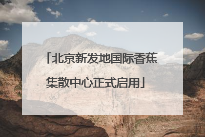 北京新发地国际香蕉集散中心正式启用