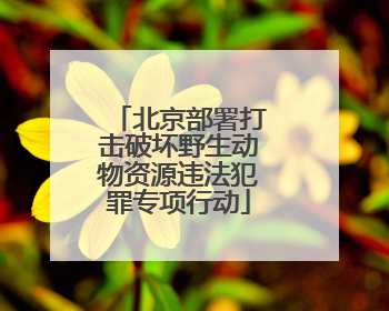 北京部署打击破坏野生动物资源违法犯罪专项行动