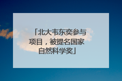 北大韦东奕参与项目，被提名国家自然科学奖