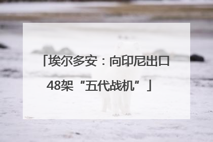 埃尔多安：向印尼出口48架“五代战机”