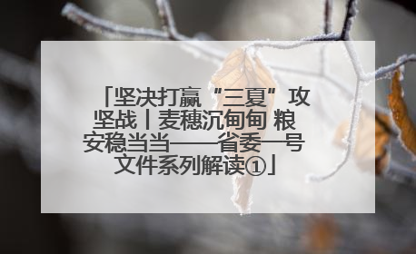 坚决打赢“三夏”攻坚战丨麦穗沉甸甸 粮安稳当当——省委一号文件系列解读①