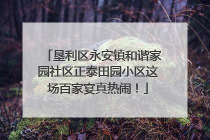 垦利区永安镇和谐家园社区正泰田园小区这场百家宴真热闹！