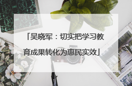 吴晓军：切实把学习教育成果转化为惠民实效
