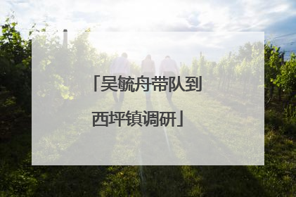 吴毓舟带队到西坪镇调研