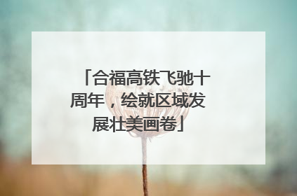 合福高铁飞驰十周年，绘就区域发展壮美画卷