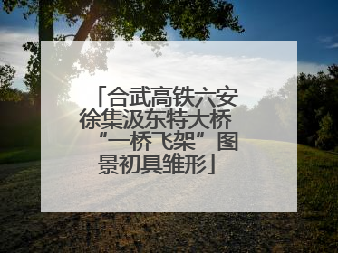 合武高铁六安徐集汲东特大桥“一桥飞架”图景初具雏形