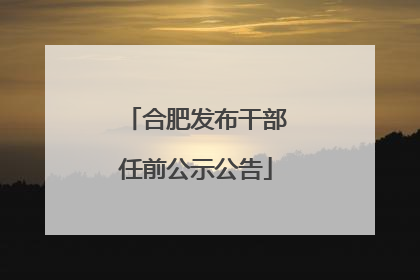 合肥发布干部任前公示公告