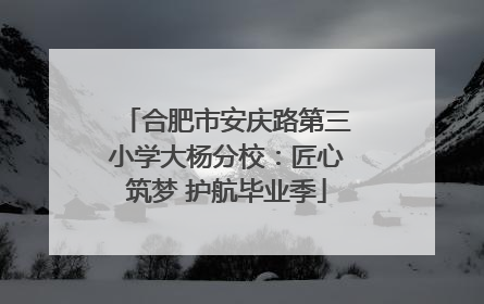 合肥市安庆路第三小学大杨分校：匠心筑梦 护航毕业季