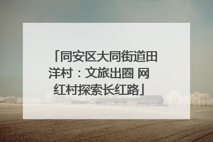 同安区大同街道田洋村：文旅出圈 网红村探索长红路