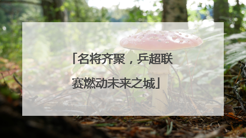 名将齐聚，乒超联赛燃动未来之城
